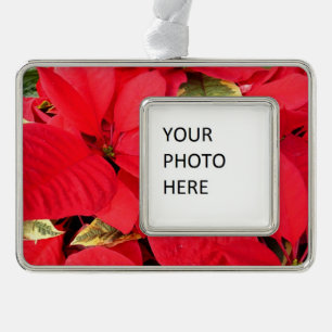 Holly Point Poinsettia's Vakantie Bloemstuk Verzilverd Omlijst Ornament