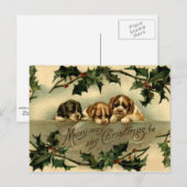 Holly Puppies Briefkaart (Voorkant / Achterkant)
