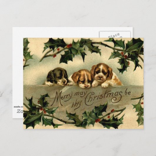 Holly Puppies Briefkaart (Voorkant / Achterkant)