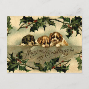 Holly Puppies Briefkaart