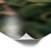 Holly Shrub Foto Afdruk (Hoek)