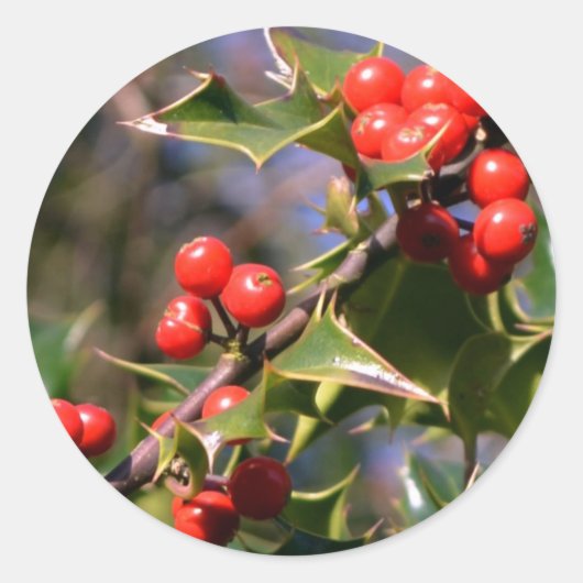 Holly Stickers (Voorkant)