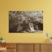 Holly Tree - Sepia Canvas Afdruk (Insitu (Woonkamer))