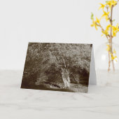 Holly Tree - Sepia Kaart (Gele Bloem)