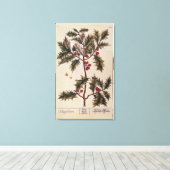 Holly uit 'A Curious Herbal', 1782 Canvas Afdruk (Insitu (Houten vloer))