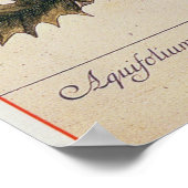 Holly uit 'A Curious Herbal', 1782 Poster (Hoek)