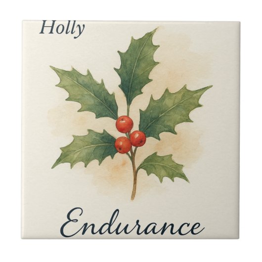 Holly — Uithoudingsvermogen Tegeltje (Voorkant)