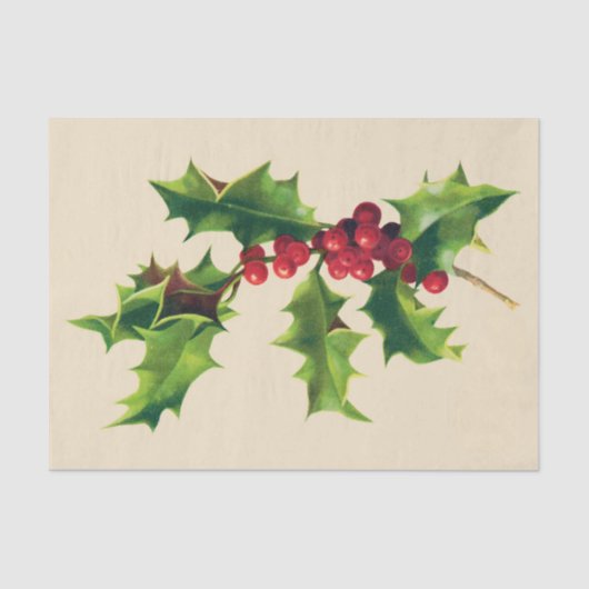   Holly-vestiging Tissuepapier (Voorkant)