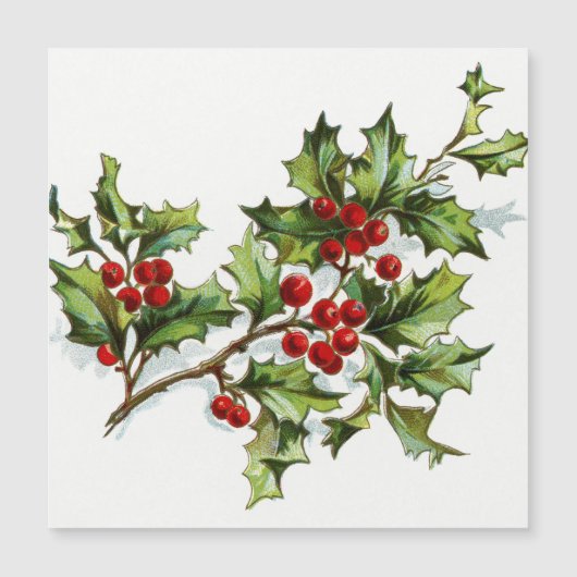 HollyBerries 001 (Voorkant)