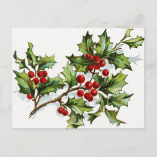 HollyBerries 001 Briefkaart