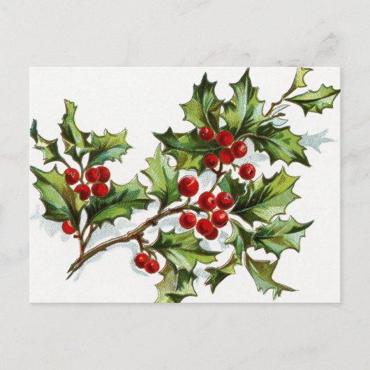 HollyBerries_001 Briefkaart (Voorkant)