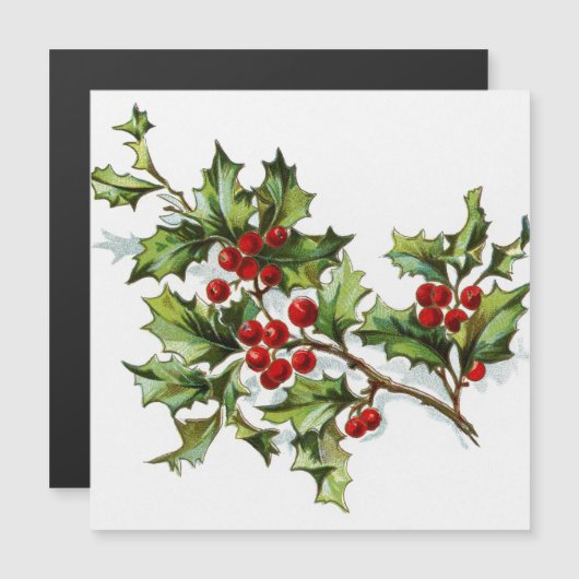 HollyBerries 002 (Voorkant / Achterkant)