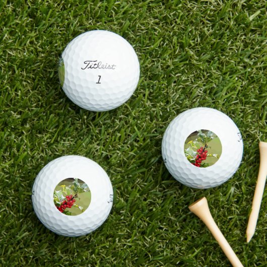 HollyBerries Golfballen (Insitu Gras)