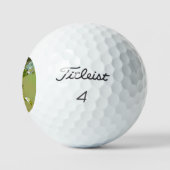HollyBerries Golfballen (Logo)