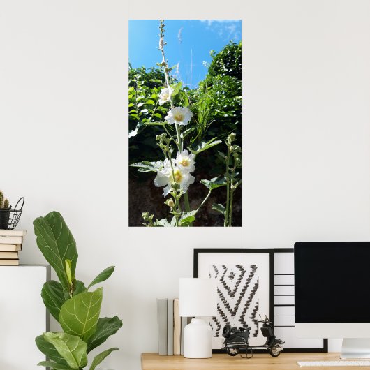 Hollyhocbloem, Alcea Alba Poster (Thuiskantoor)