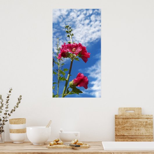 Hollyhocbloem, Alcea Rosea Poster (Keuken)