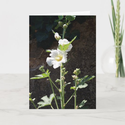 Hollyhocbloemkaart Kaart (Voorkant)