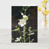 Hollyhocbloemkaart Kaart (Gele Bloem)
