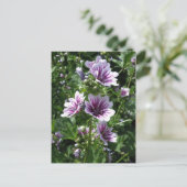 Hollyhock Briefkaart (Staand voorkant)