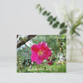 Hollyhock-Briefkaart Briefkaart (Staand voorkant)