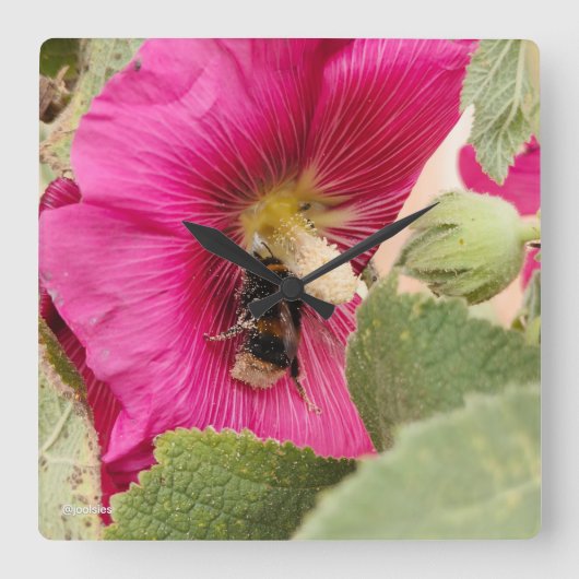 Hollyhock bumble bee vierkante wandklok (Voorkant)