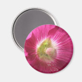 Hollyhock Deep Pink Magnet (Voorkant / Achterkant)