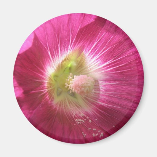 Hollyhock Deep Pink Magnet (Voorkant)