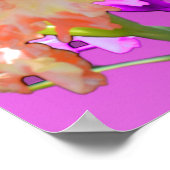 Hollyhock Elegance Poster (Hoek)