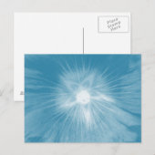Hollyhock Flower Icy Blue Briefkaart (Voorkant / Achterkant)