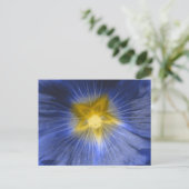 Hollyhock Flower Mooi blauw Briefkaart (Staand voorkant)