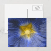 Hollyhock Flower Mooi blauw Briefkaart (Voorkant / Achterkant)