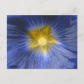 Hollyhock Flower Mooi blauw Briefkaart (Voorkant)