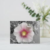 Hollyhock op Ile de Re, Frankrijk Briefkaart (Staand voorkant)