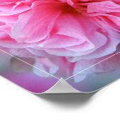 Hollyhock Pink Flower Photo Quote Poster (Hoek)