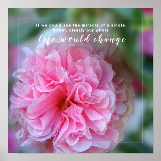 Hollyhock Pink Flower Photo Quote Poster (Voorkant)