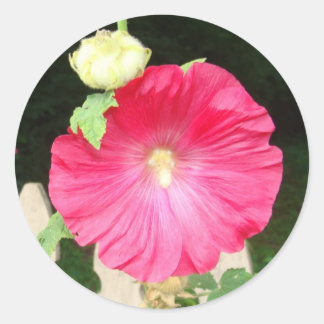 Hollyhock Seals Ronde Sticker
