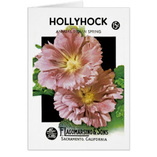 Hollyhock Seed Packet