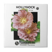 Hollyhock  Seed Packet Tegeltje (Voorkant)