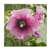 HOLLYHOCK TEGELTJE (Voorkant)