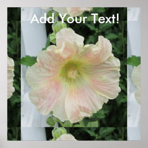 Hollyhock White Flower Poster