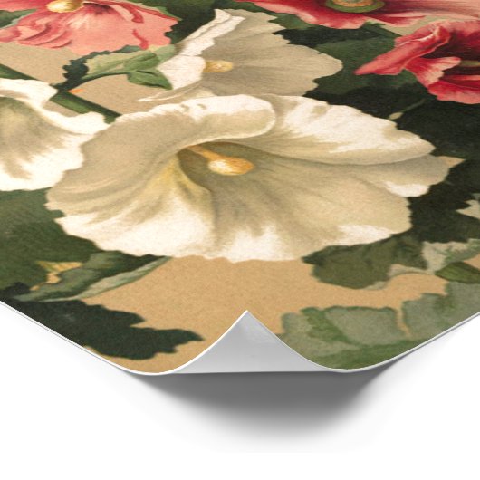  Hollyhocks Art Poster (Hoek)