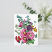 Hollyhocks Botanische Illustratie Briefkaart (Staand voorkant)