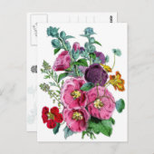 Hollyhocks Botanische Illustratie Briefkaart (Voorkant / Achterkant)