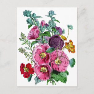 Hollyhocks Botanische Illustratie Briefkaart