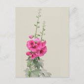 Hollyhocks Briefkaart (Voorkant)