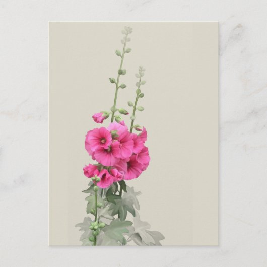 Hollyhocks Briefkaart (Voorkant)