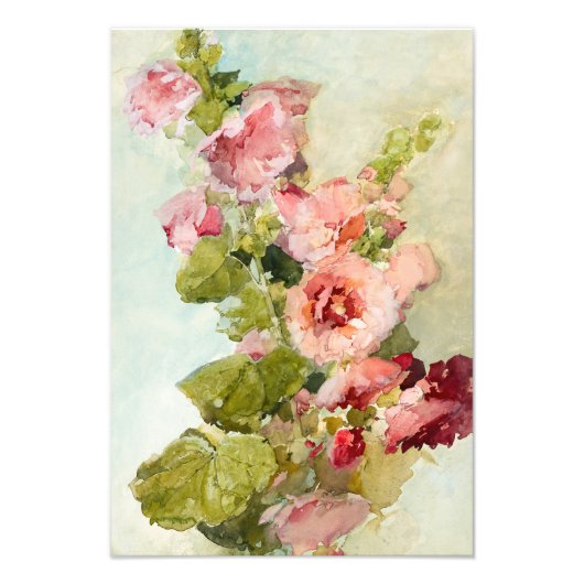 Hollyhocks door Franz Bischoff Foto Afdruk (Voorkant)