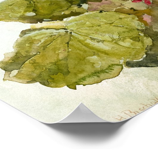 Hollyhocks door Franz Bischoff Poster (Hoek)