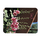 Hollyhocks en Adobe Santa Fe New Mexico Magnet Magneet (Horizontaal)