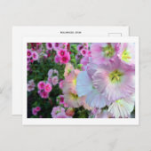 Hollyhocks: Japan Briefkaart (Voorkant / Achterkant)